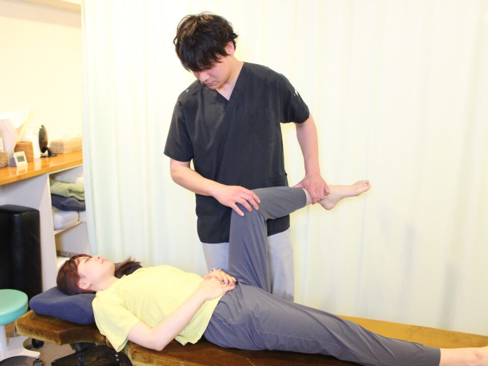 整体コースについて